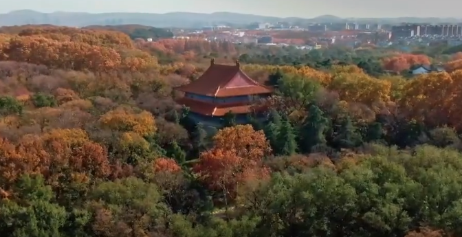 QQ20241101-083508.png